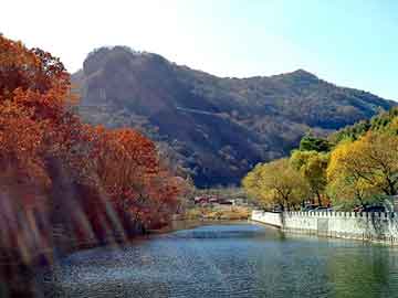 正版澳门天天开彩大全，塑胶地坪